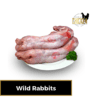 Wild Rabbits - Fresh and Ideal for Traditional Dishes